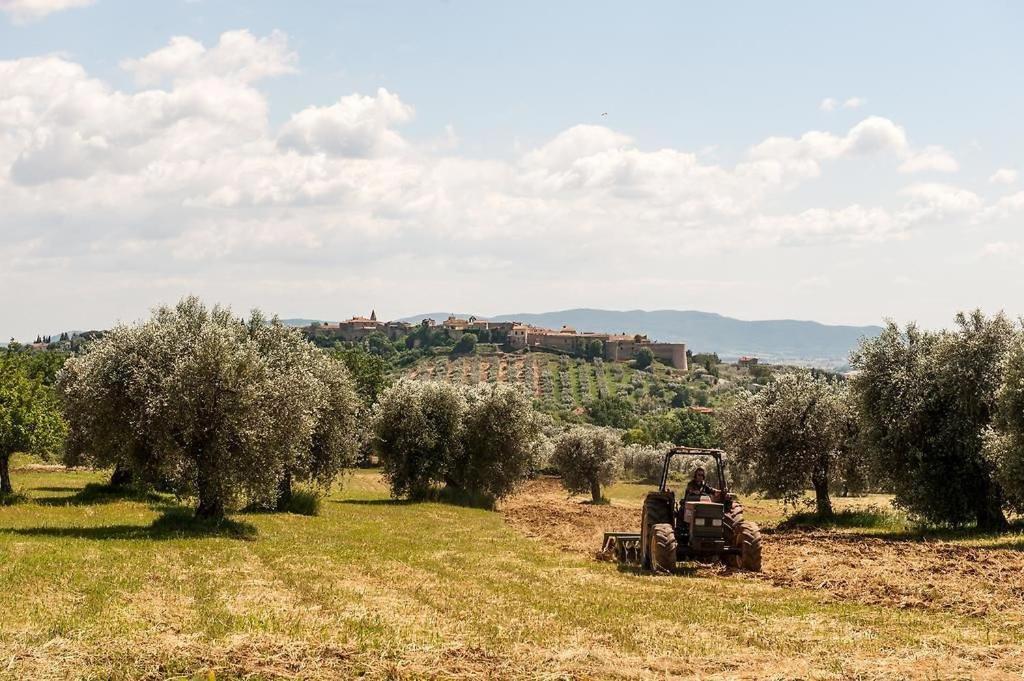 Tenuta Campospillo ماليانو إن توسكانا المظهر الخارجي الصورة