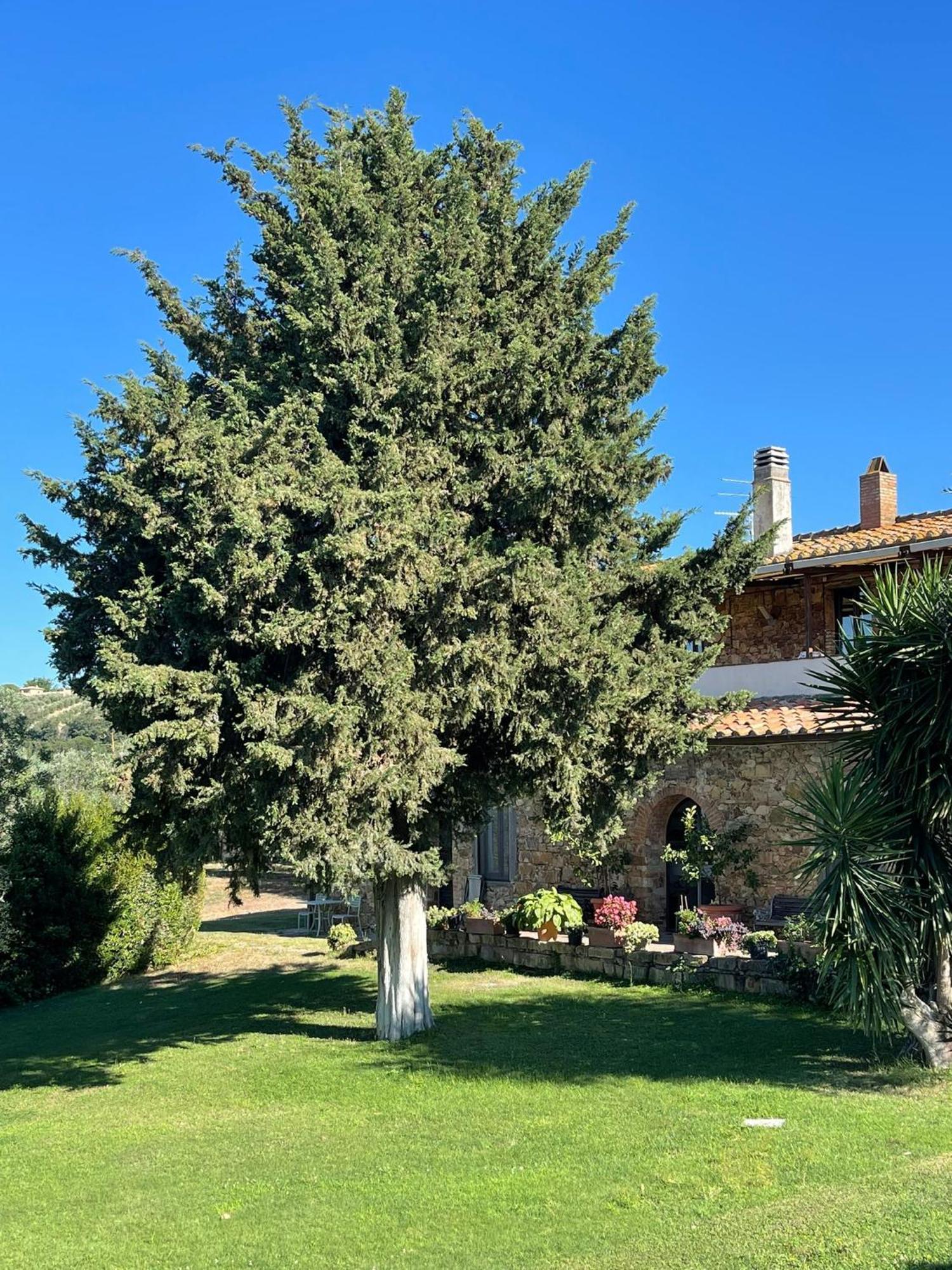 Tenuta Campospillo ماليانو إن توسكانا المظهر الخارجي الصورة