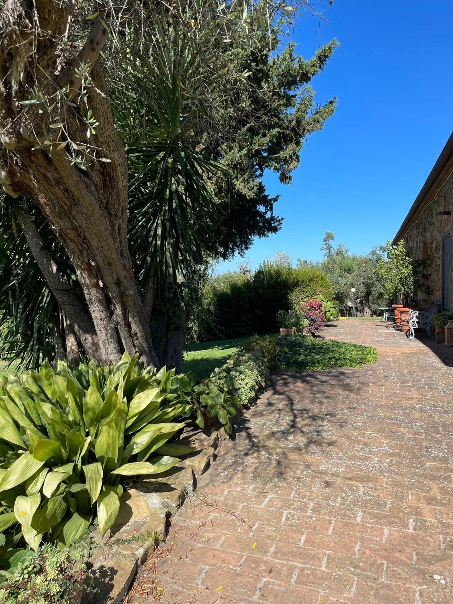 Tenuta Campospillo ماليانو إن توسكانا المظهر الخارجي الصورة